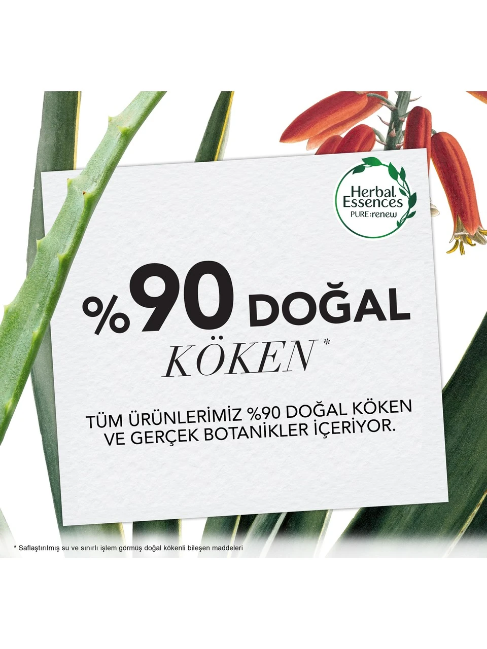 Herbal Essences Fas Argan Yağı Onarıcı Maske 250 ml %90 Doğal Saç Bakım Maskesi