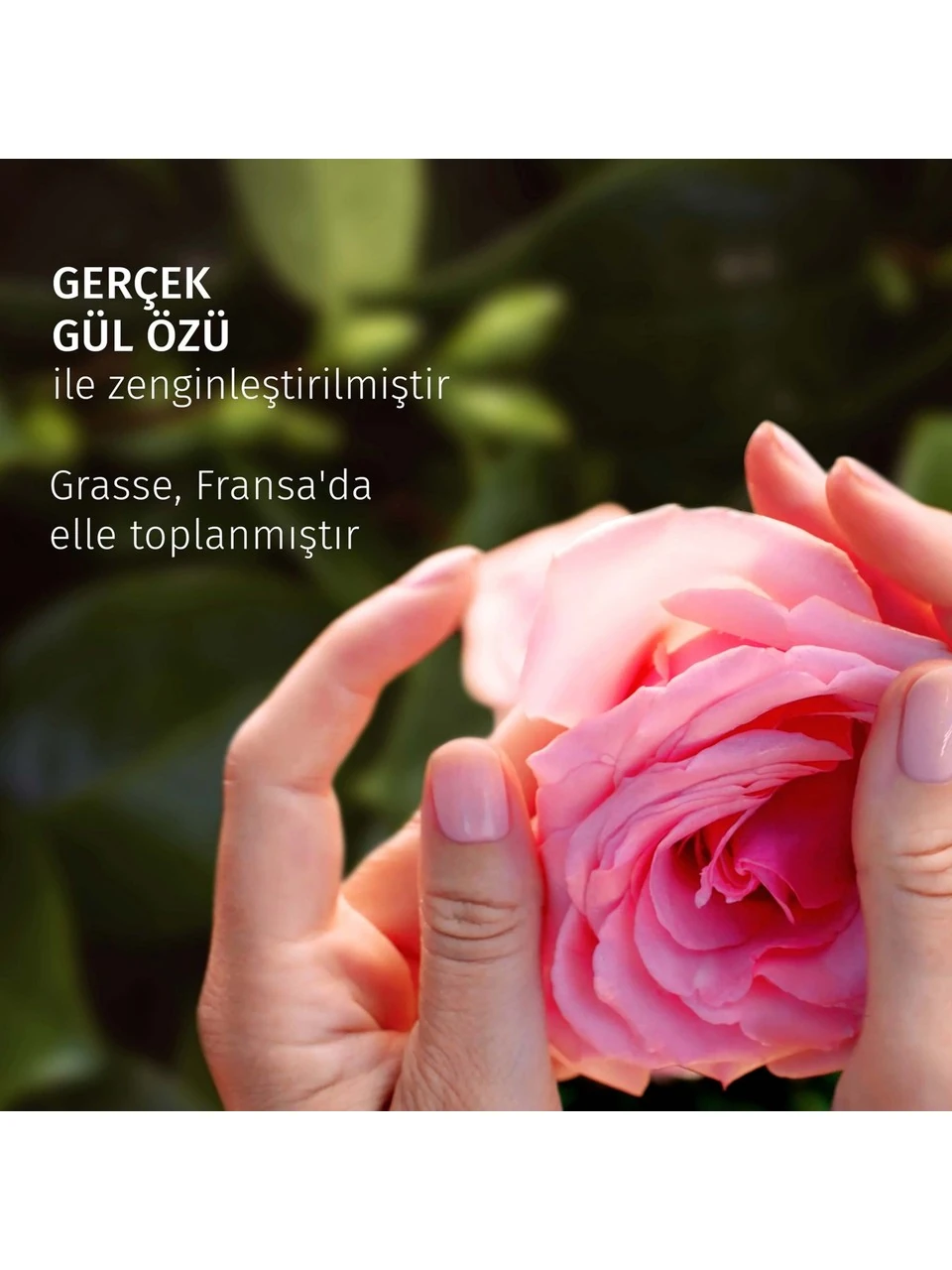 Herbal Essences Kadifemsi Yumuşaklık Gül Kokulu Şampuan 350ML