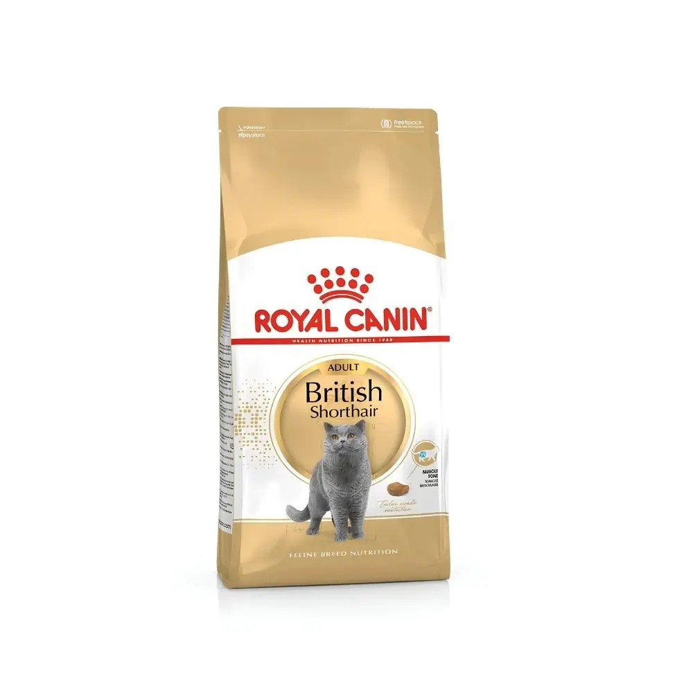 Royal Canin British Shorthair Yetişkin Kuru Kedi Maması