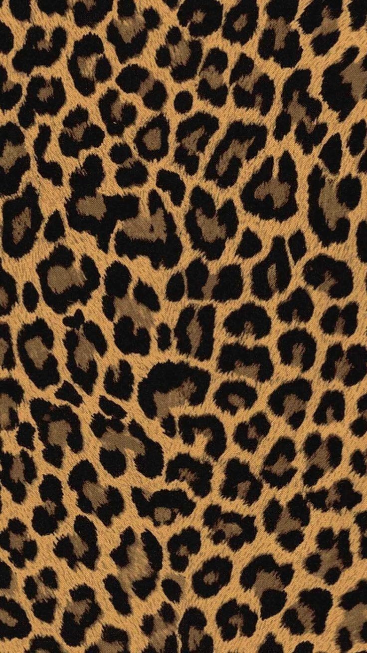 Leopar