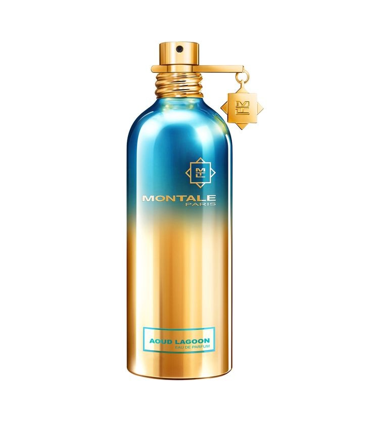 Montale Spray Aoud Lagoon 100ml EDP Unisex Parfüm