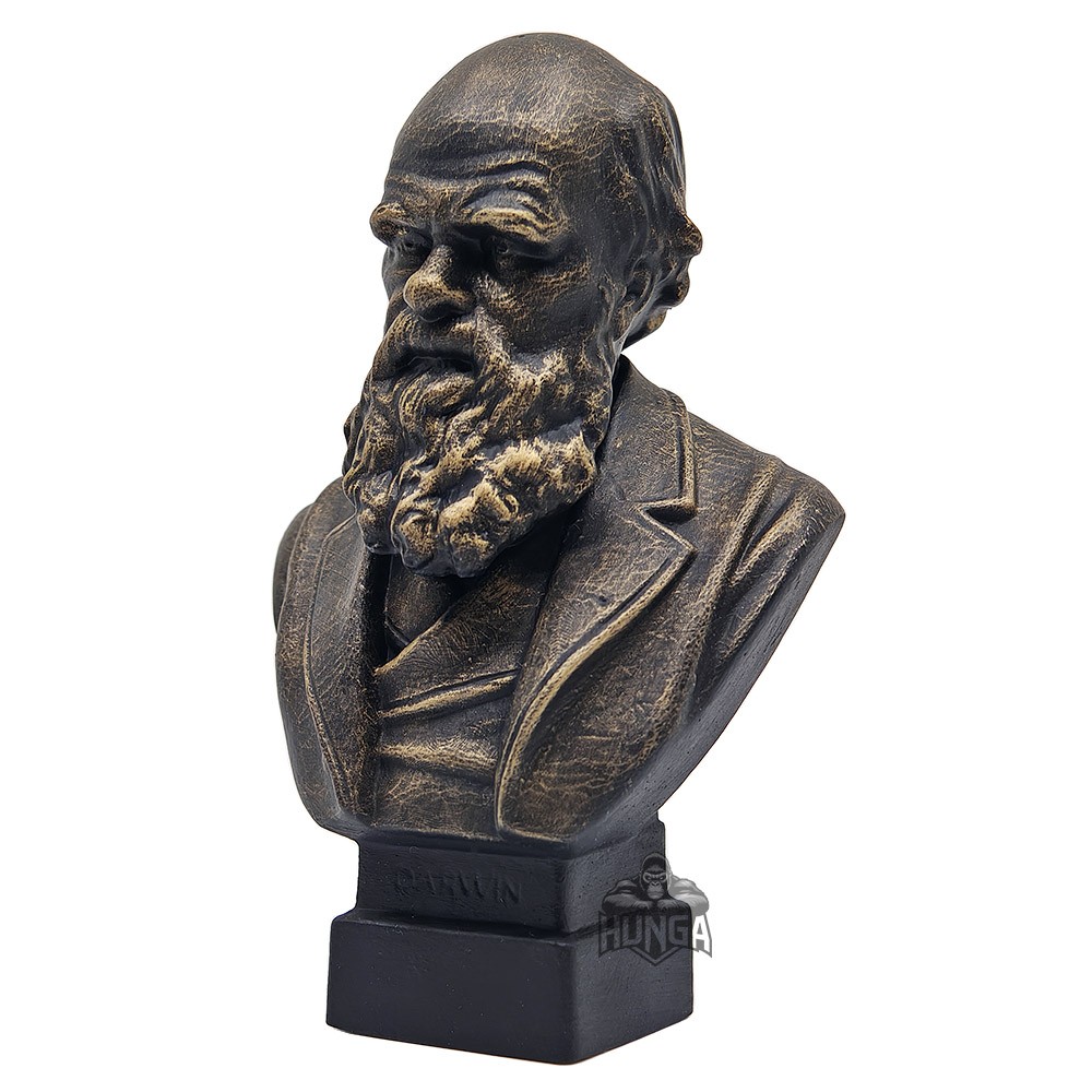 Charles Darwin Büst