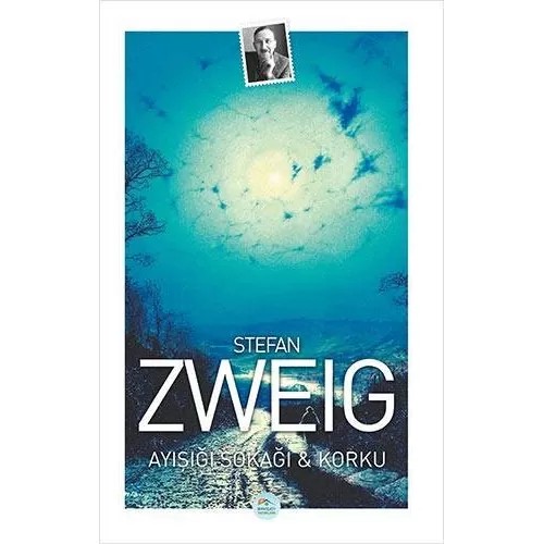 Ayışığı Sokağı ve Korku - Stefan Zweig