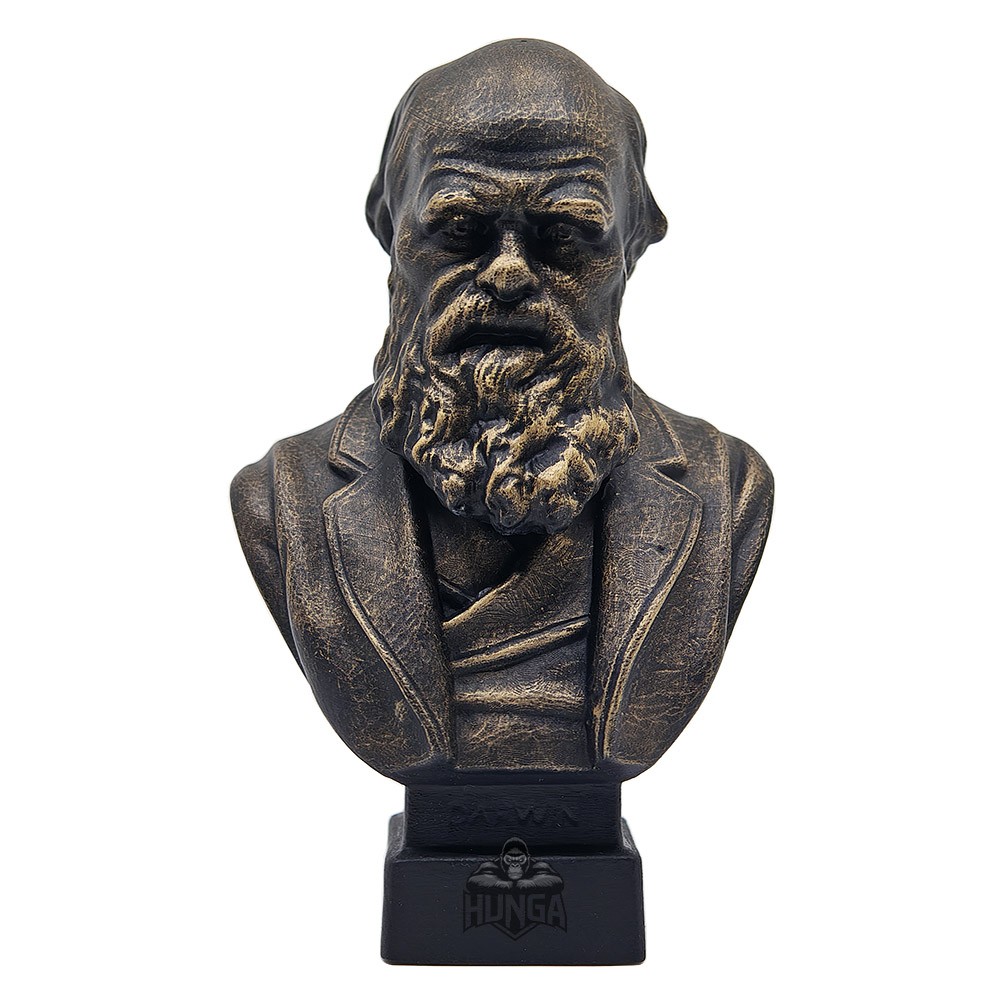 Charles Darwin Büst