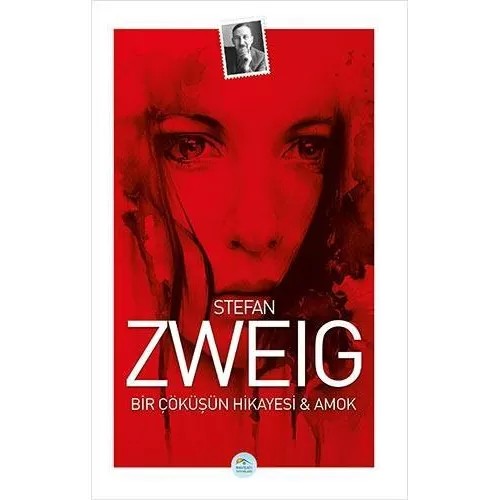 Bir Çöküşün Hikayesi ve Amok - Stefan Zweig