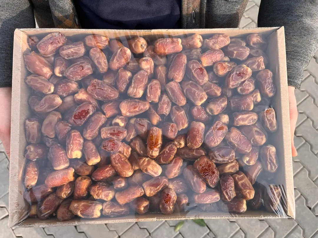 Sugai Medine Hurması 5 Kg