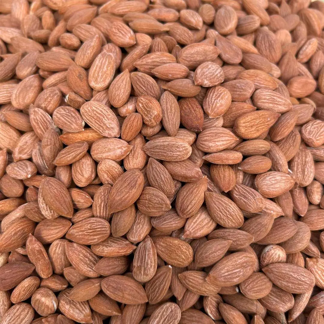 Kayısı Çekirdeği Çiğ