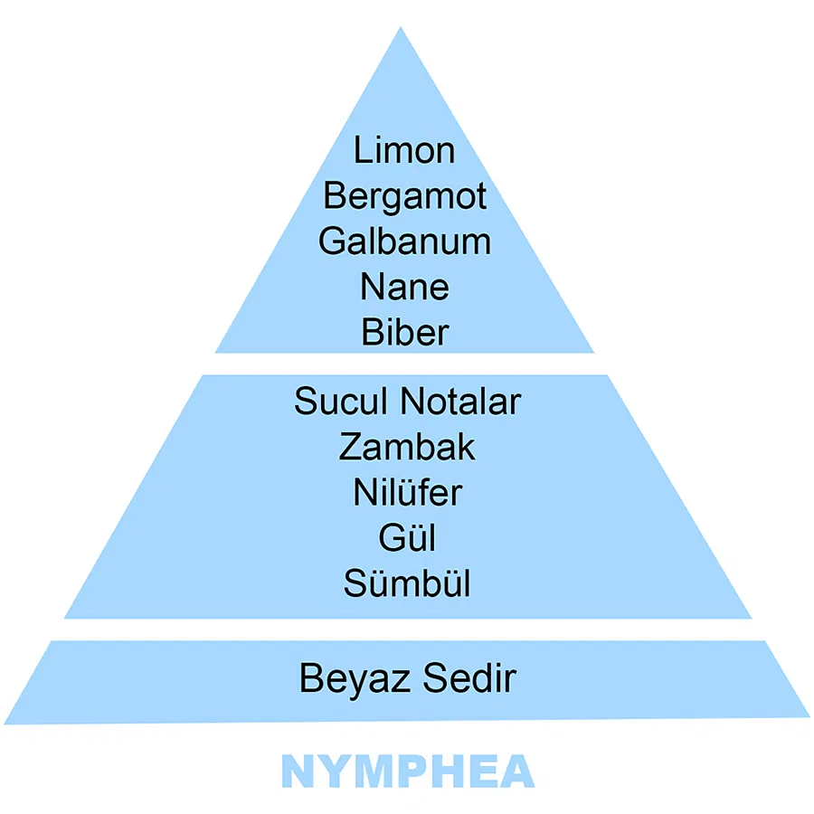 500 ml Nympheas Katalitik Yedek Kokusu
