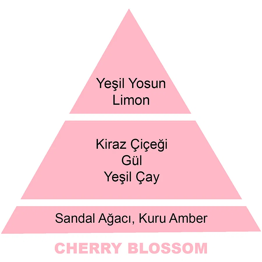 500 ml Cherry Blossom Katalitik Yedek Kokusu