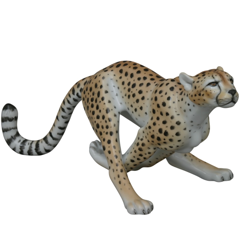 Çita