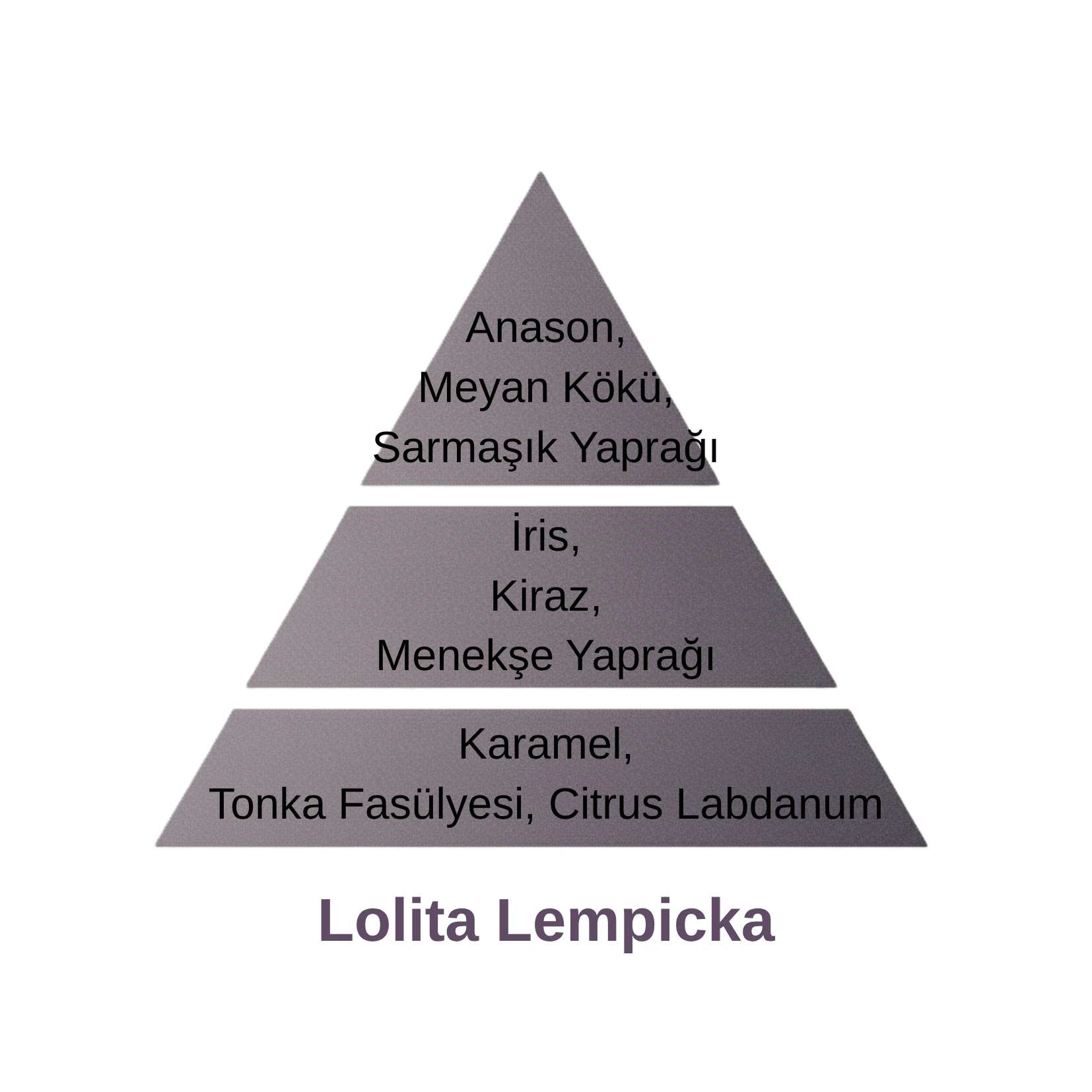 Lolita Lempicka Katalitik Oda Parfüm Seti