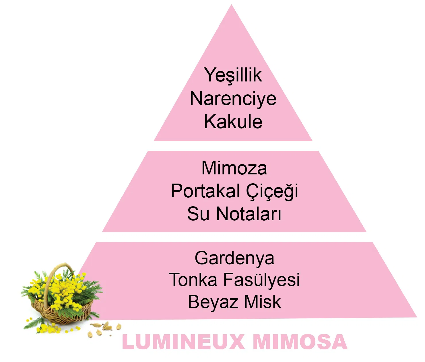 500 ml Lumineux Mimosa Difüzör Yedek Kokusu