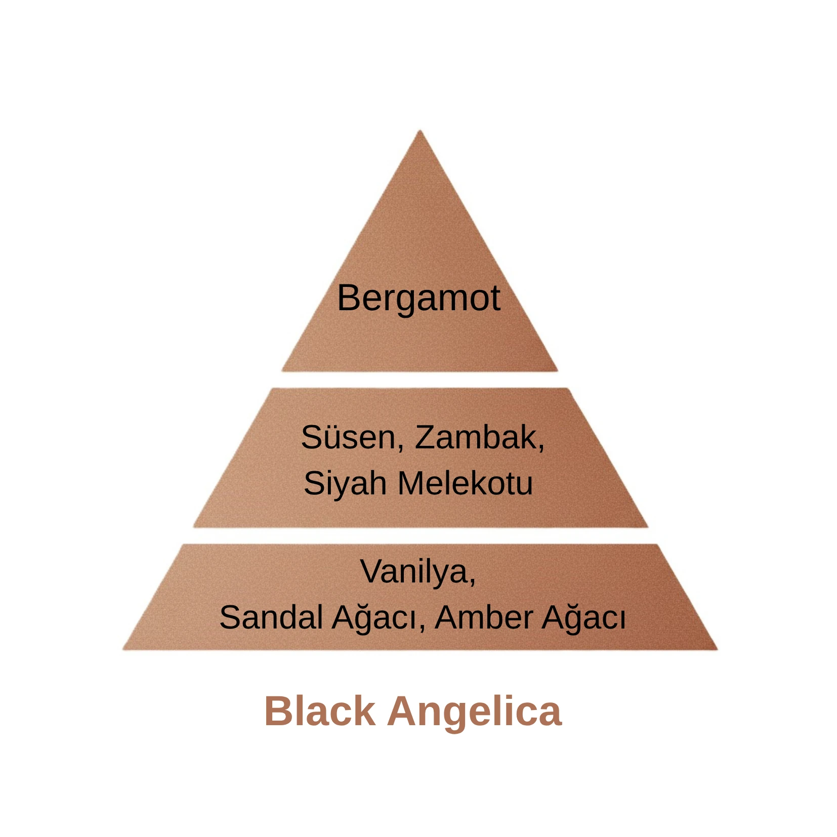 Black Angelica Katalitik Oda Parfüm Seti