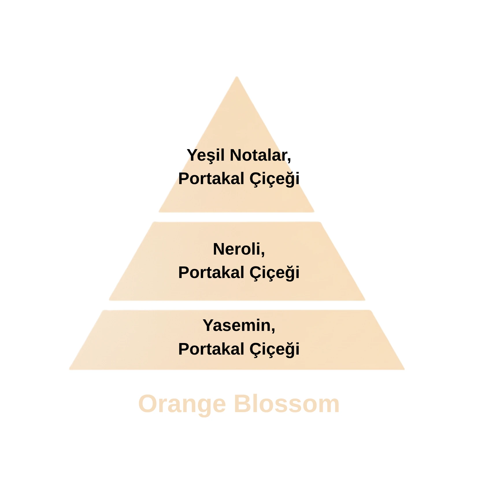 Orange Blossom Katalitik Oda Parfüm Seti