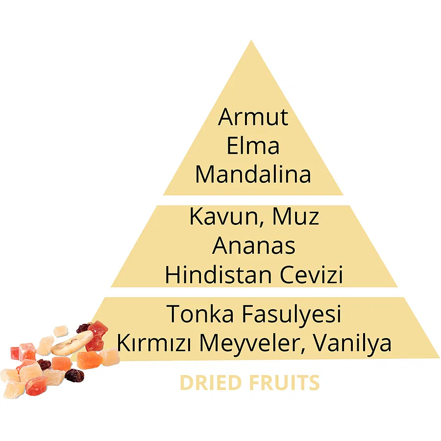 500 ml Dried Fruits Katalitik Yedek Kokusu
