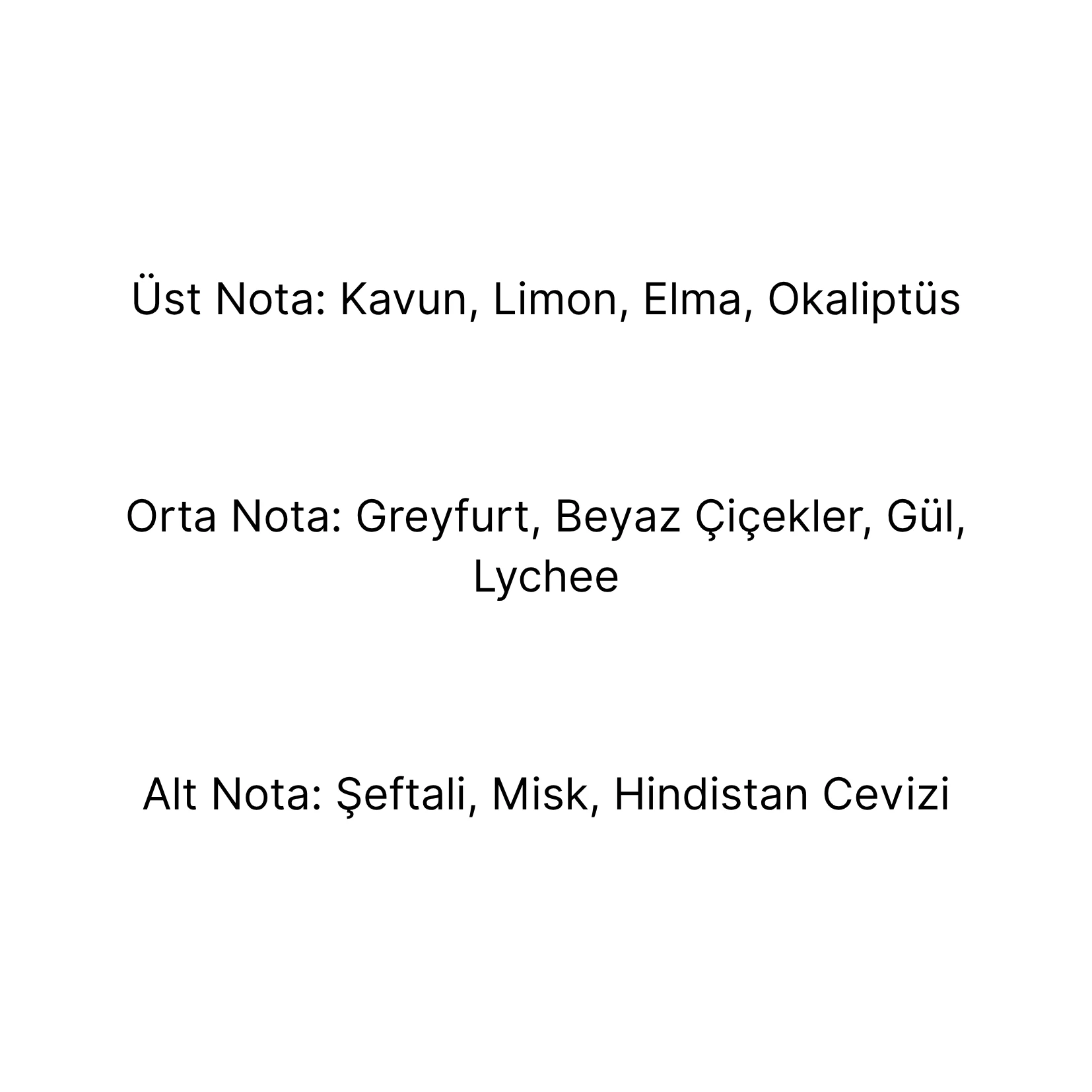 500 ml Lychee Paradise Katalitik Yedek Kokusu