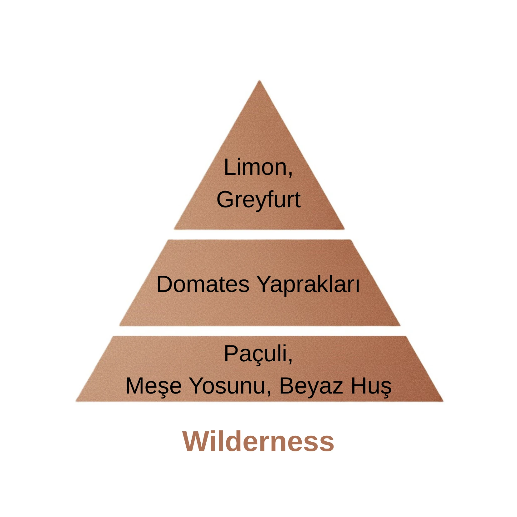 Wilderness Katalitik Oda Parfüm Seti