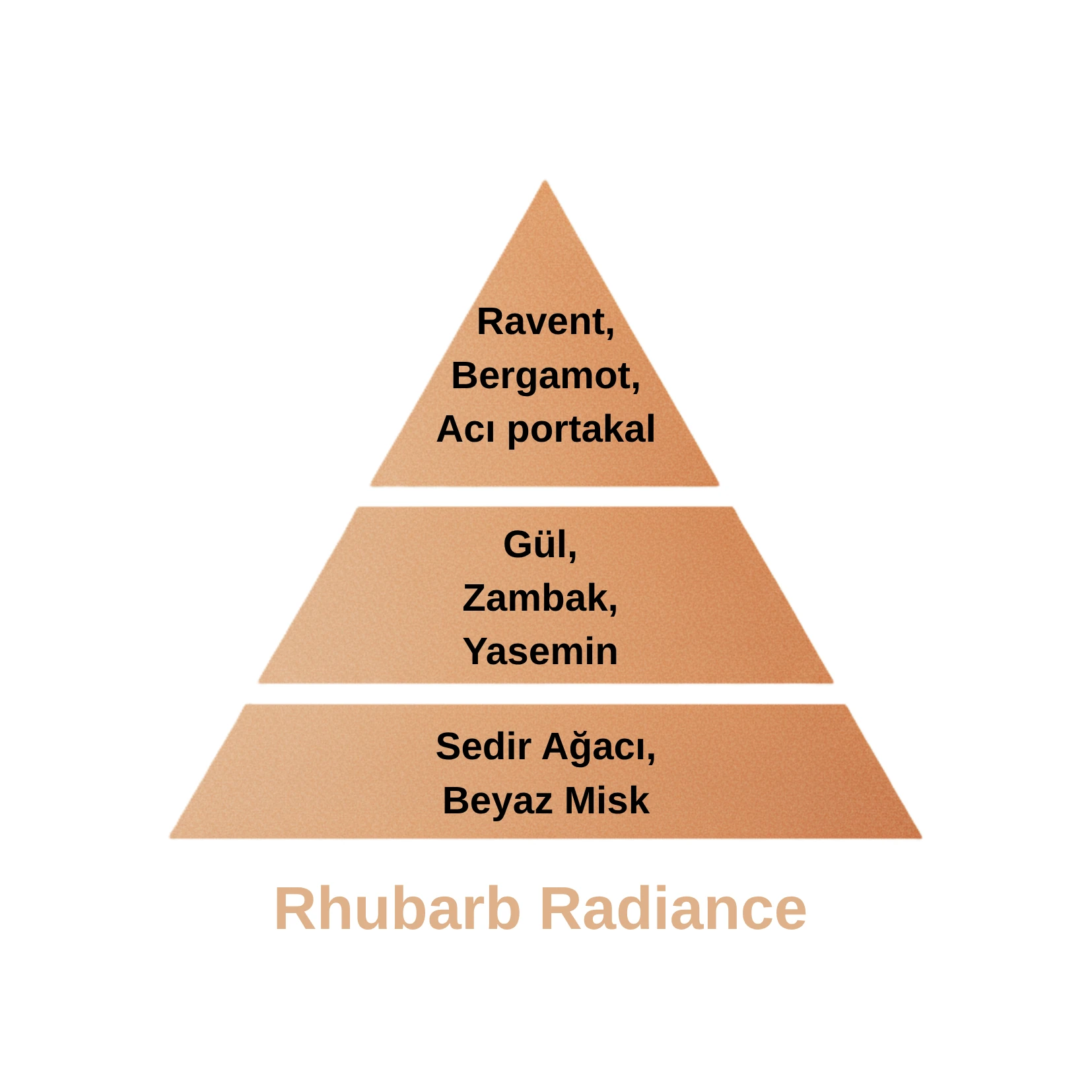 Rhubarb Radiance Katalitik Oda Parfüm Seti