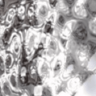 CER_