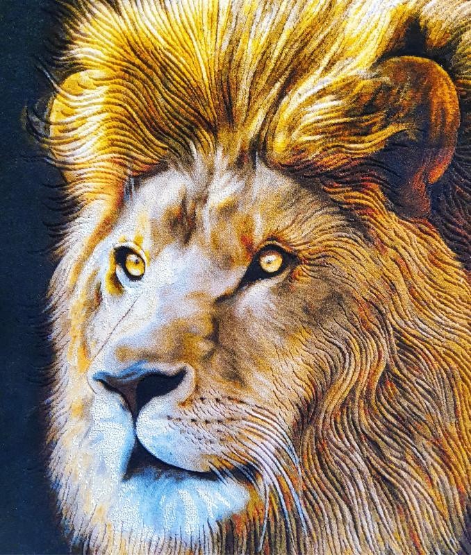 İran El Dokuması Tablo Halı 66x86cm - Aslan