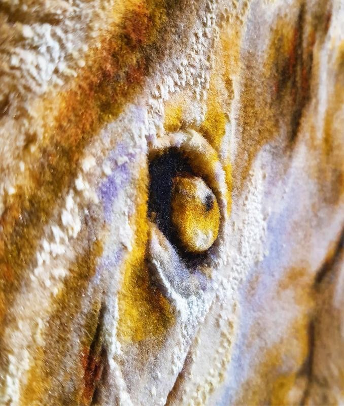 İran El Dokuması Tablo Halı 66x86cm - Aslan