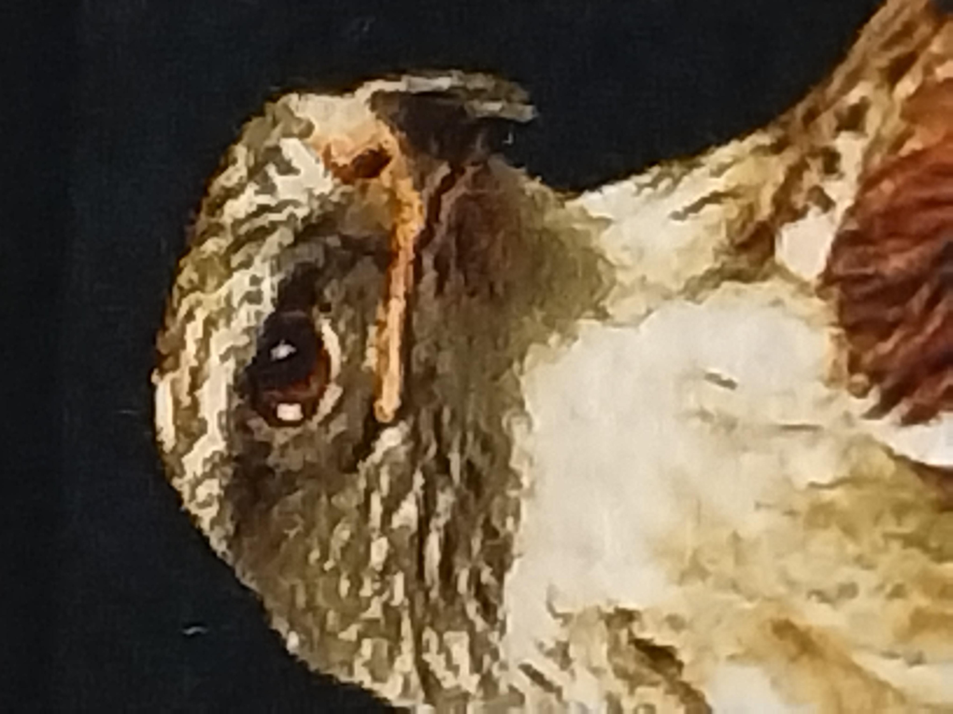 İran El Dokuması Tablo Halı 43x77cm - Şahin