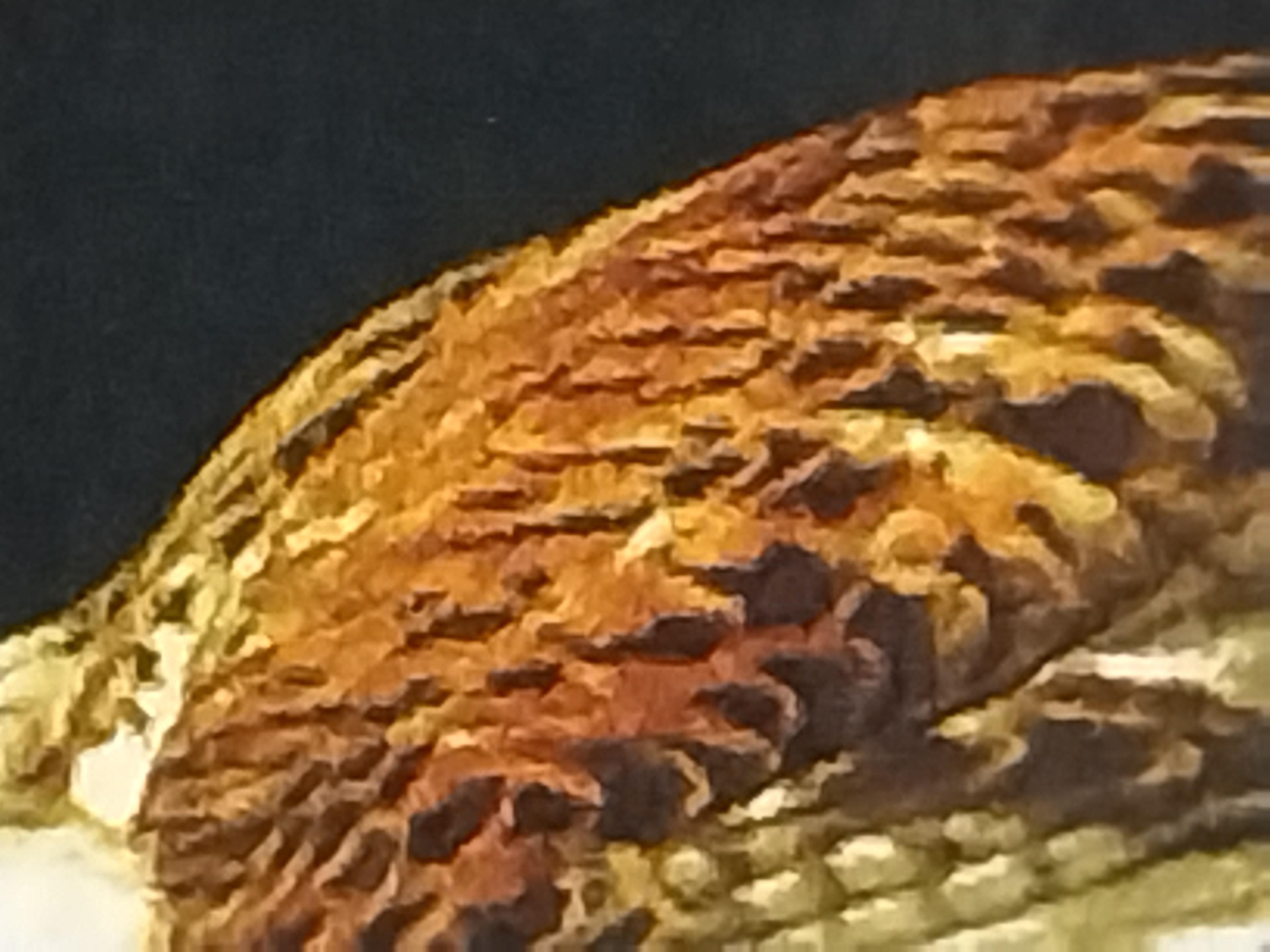 İran El Dokuması Tablo Halı 43x77cm - Şahin