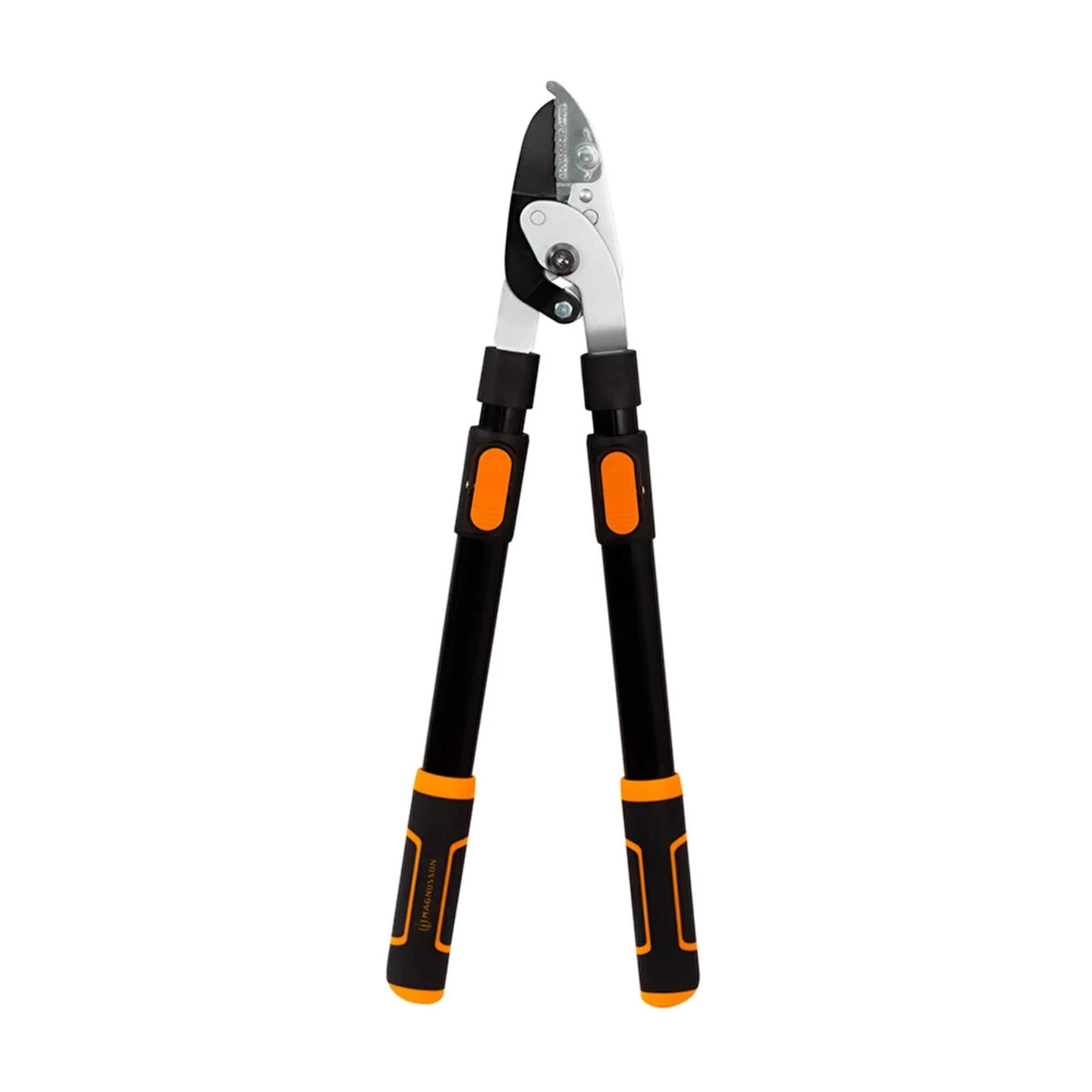 Teleskopik Kuru Dal Makası