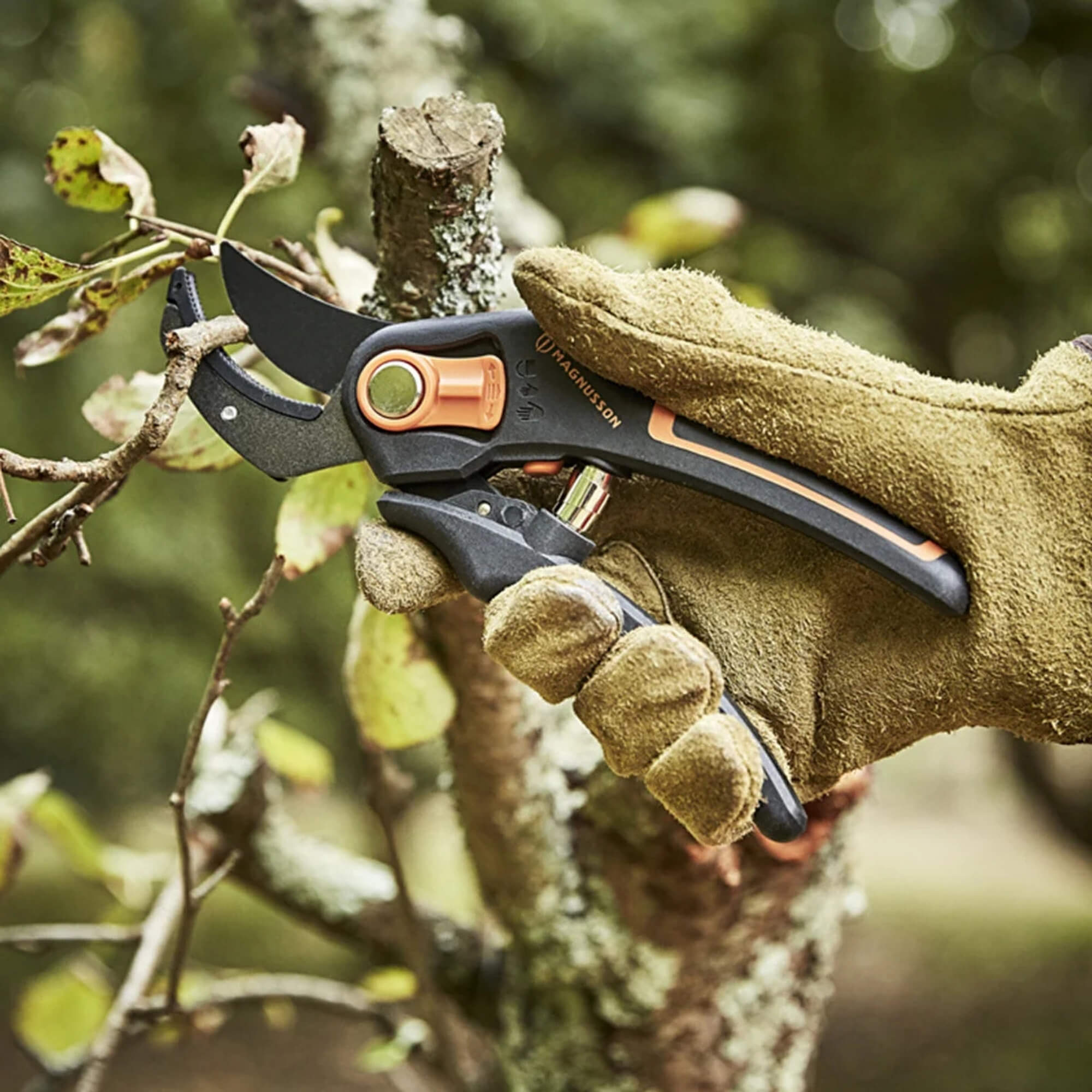 Ayarlanabilir Kuru Dal Makası