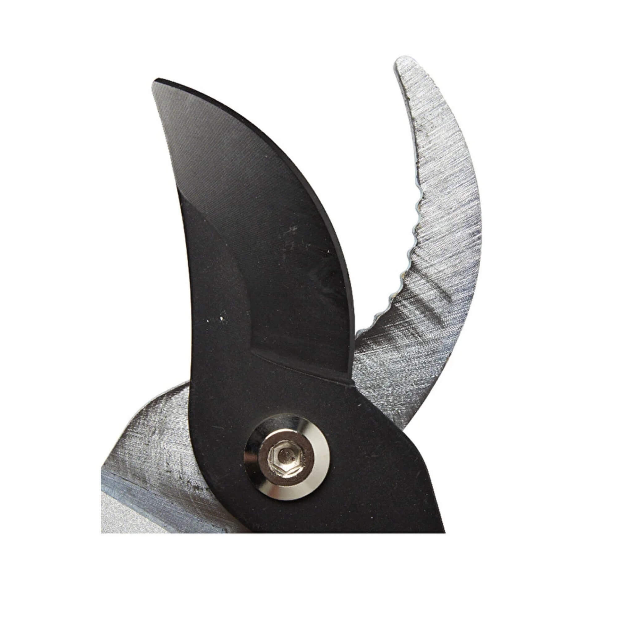 Teleskopik Yaş Dal Makası