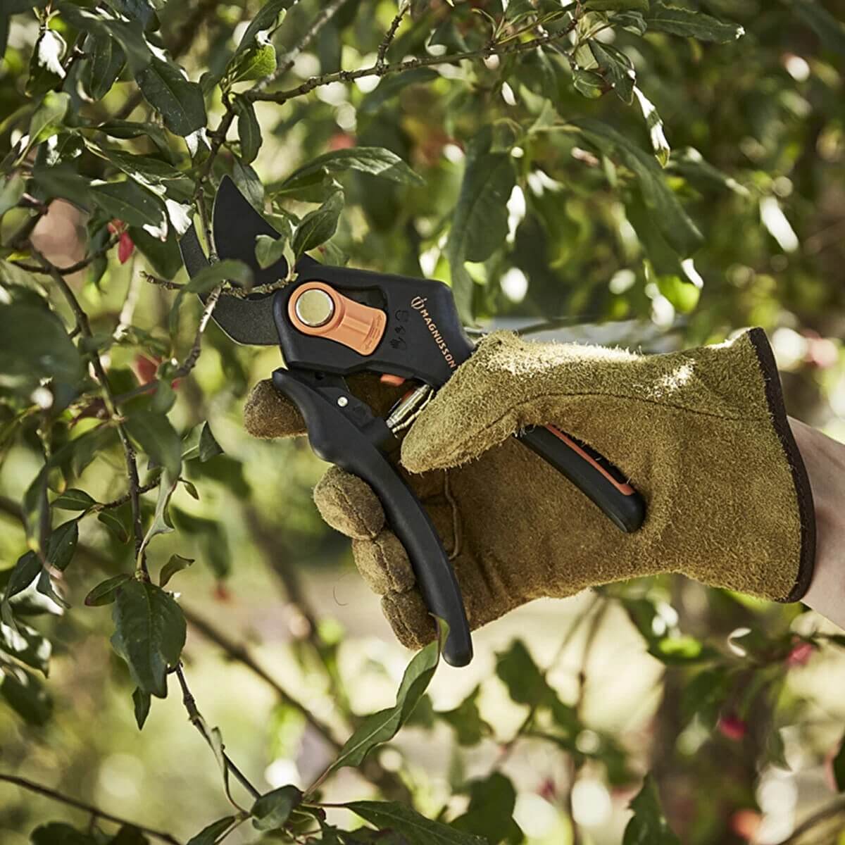 Ayarlanabilir Yaş Dal Makası