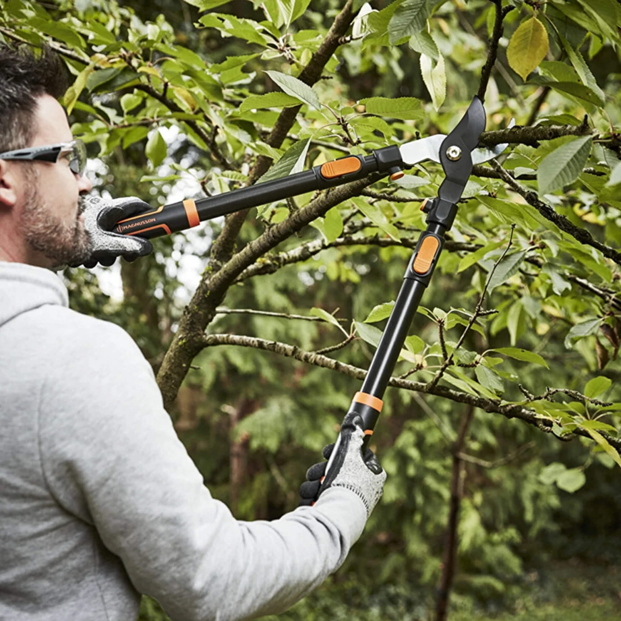 Teleskopik Kuru Dal Makası