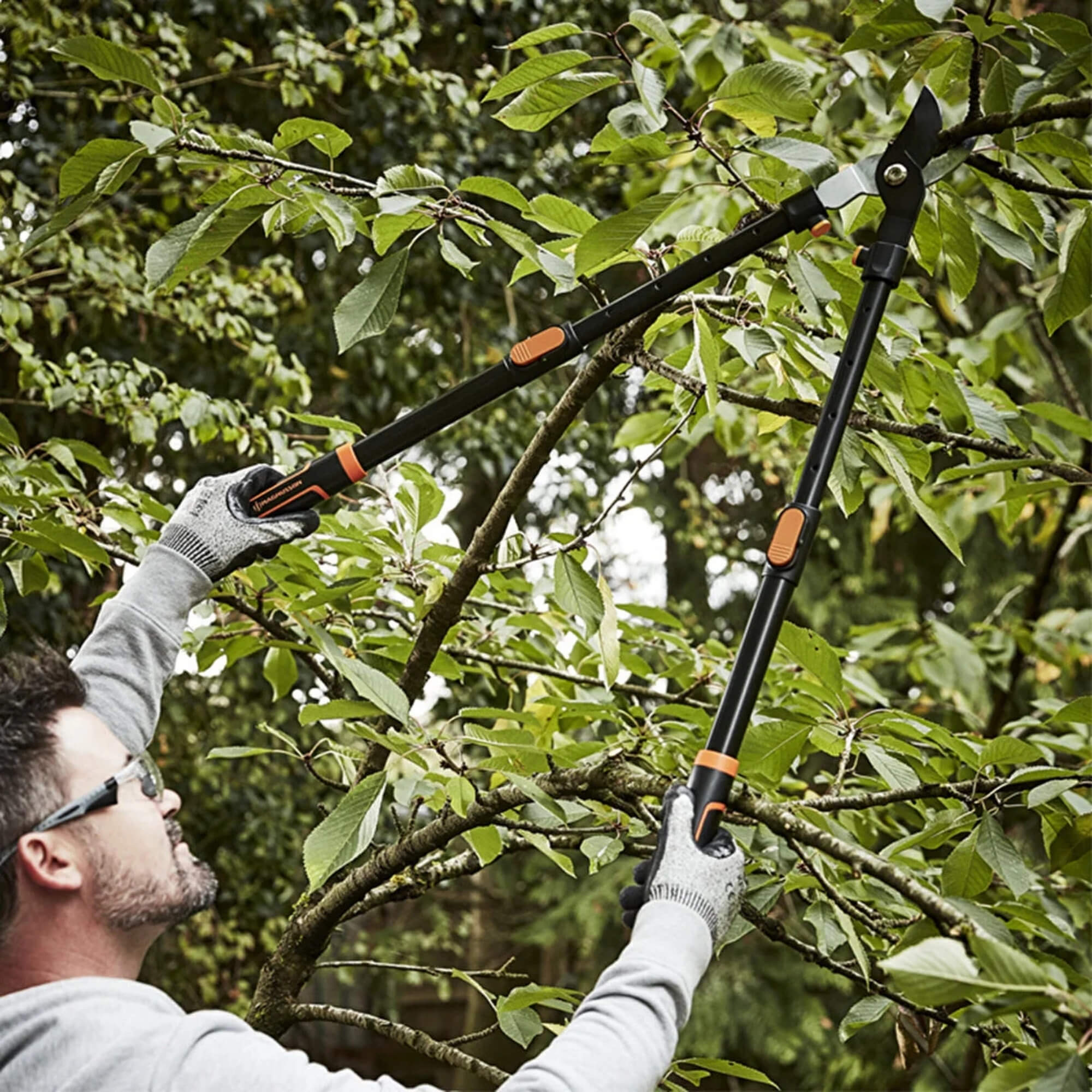 Teleskopik Kuru Dal Makası