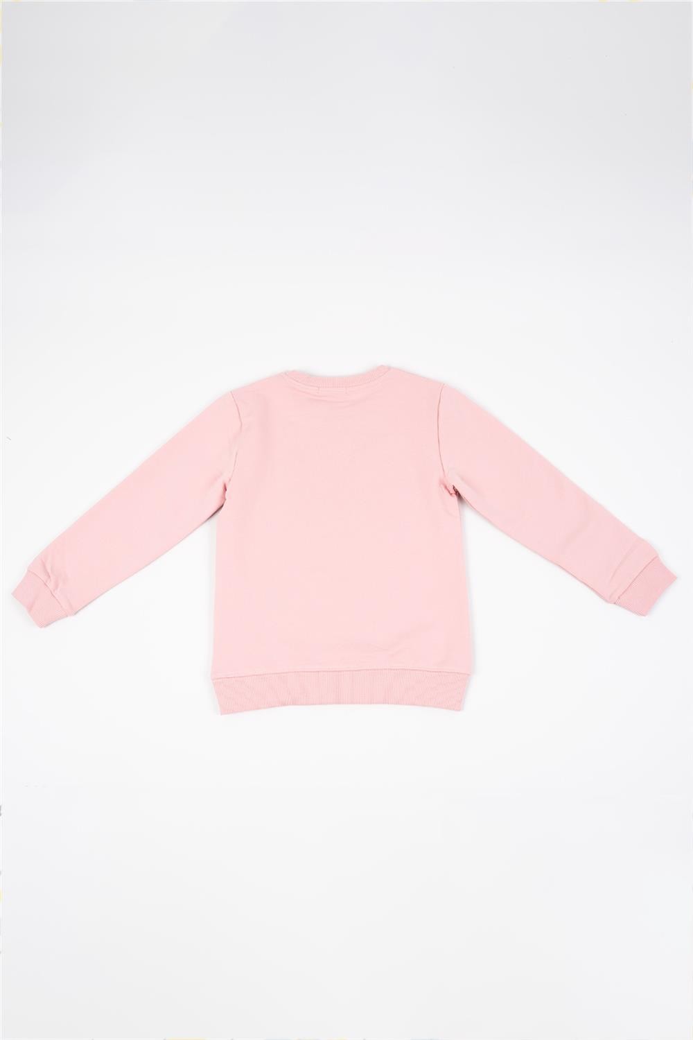 Kız Çocuk Pembe Uzun Kollu Kuş Nakış Detaylı Kışlık Sweatshirt