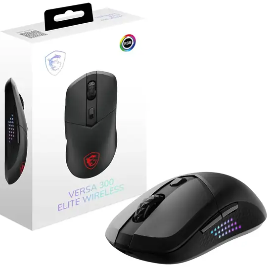 MSI GG VERSA 300 ELITE W