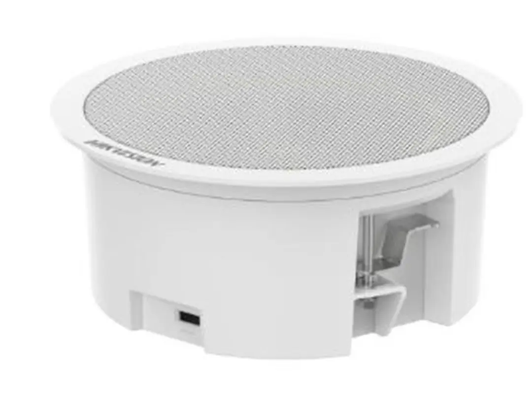 Hikvision DS-QAZ0203G1-S 3W Network Asma Tavan İkincil Hoparlörü