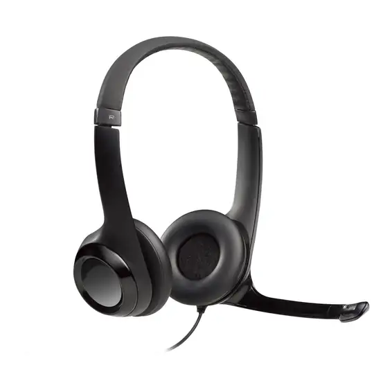 Logitech 981-000406 H390 Siyah Usb Mikrofonlu Kulaklık