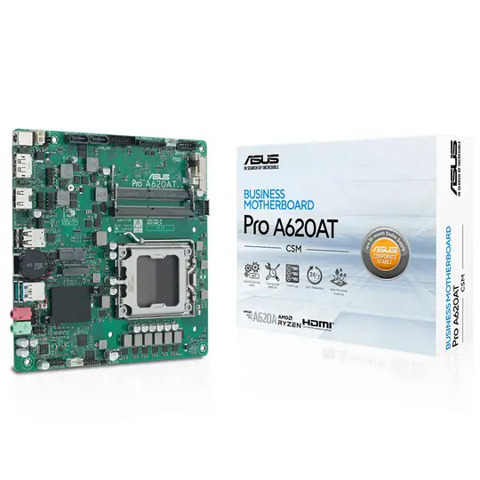 ASUS PRO A620AT-CSM