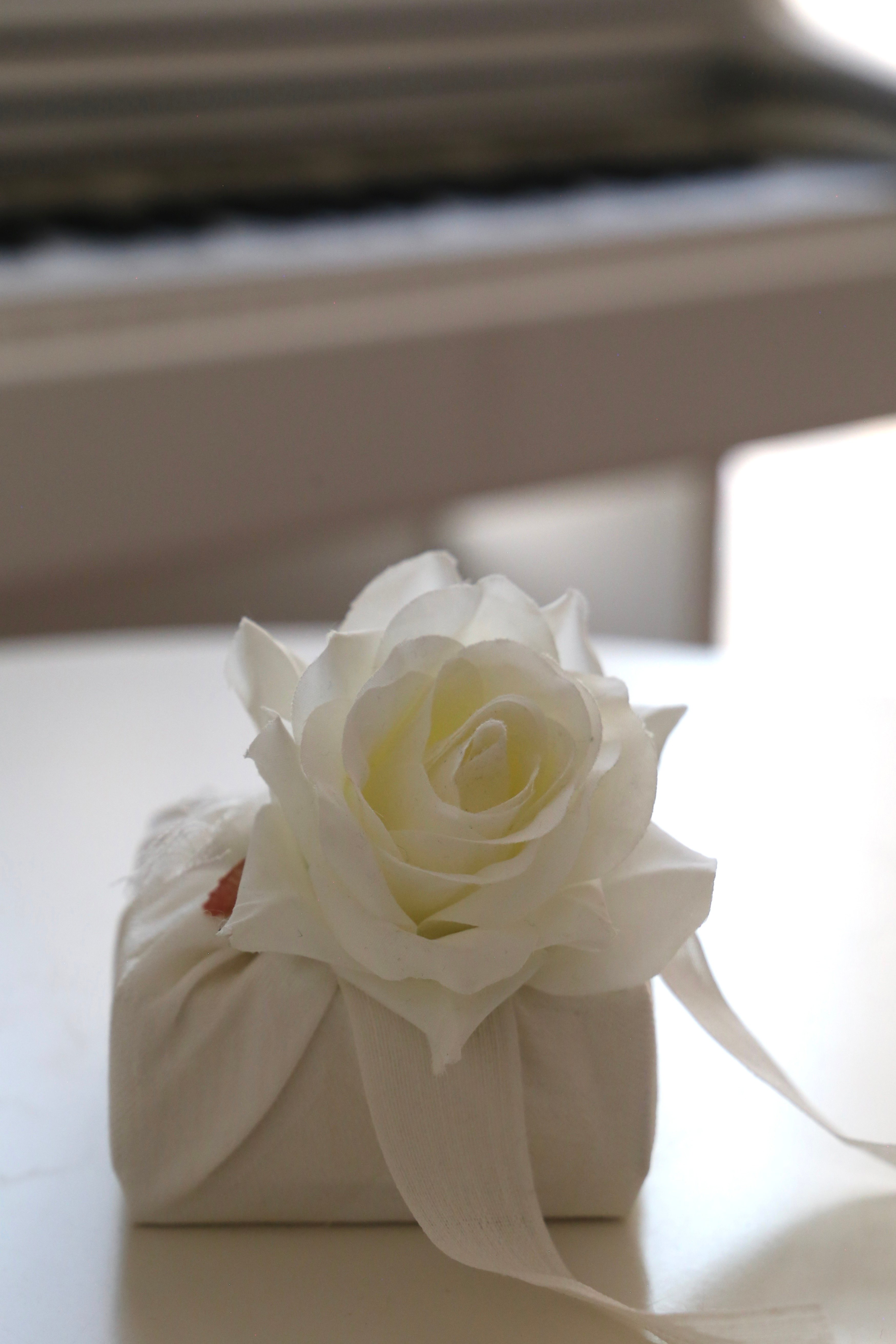 White Rose Gift 