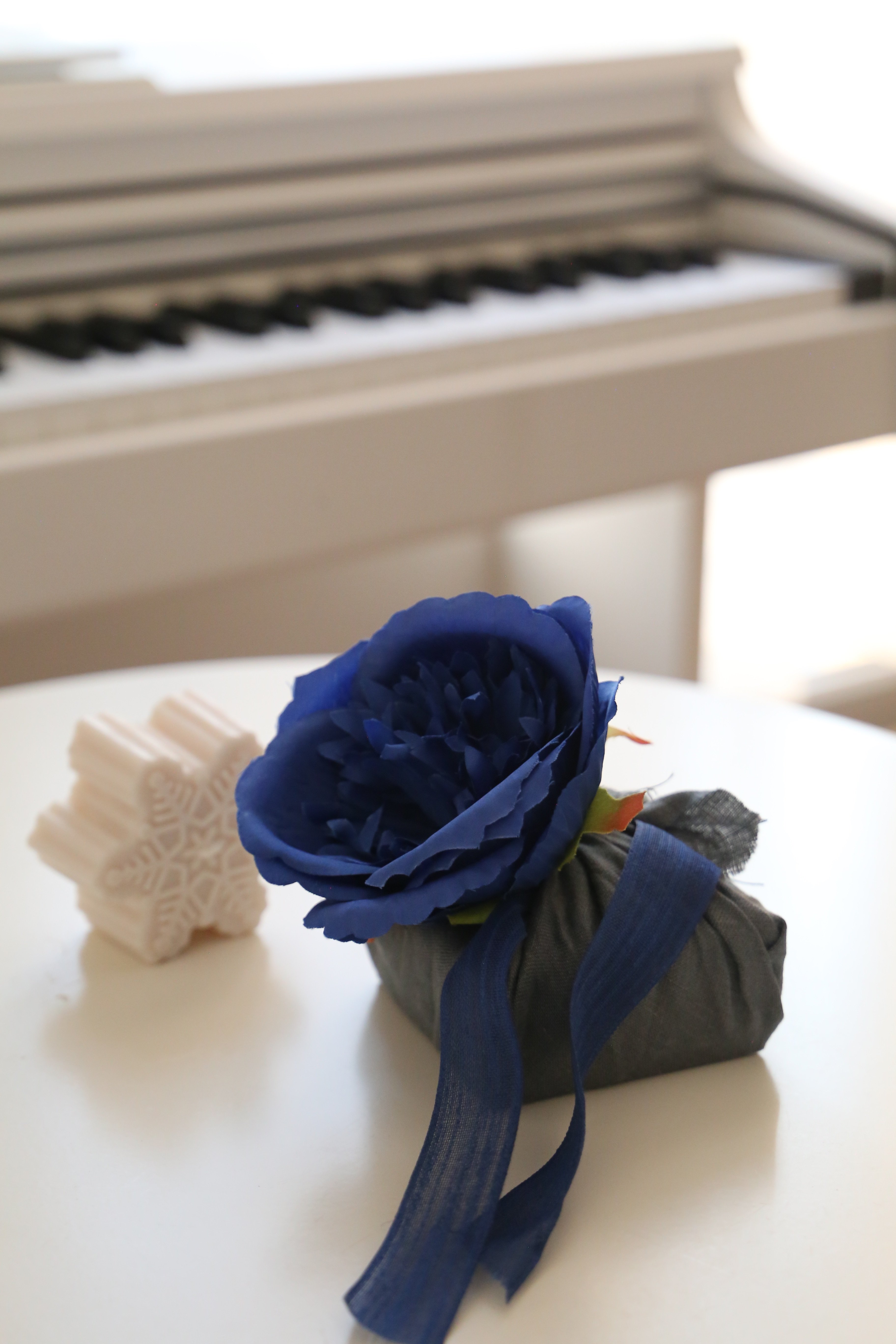 Blue Garden Gift