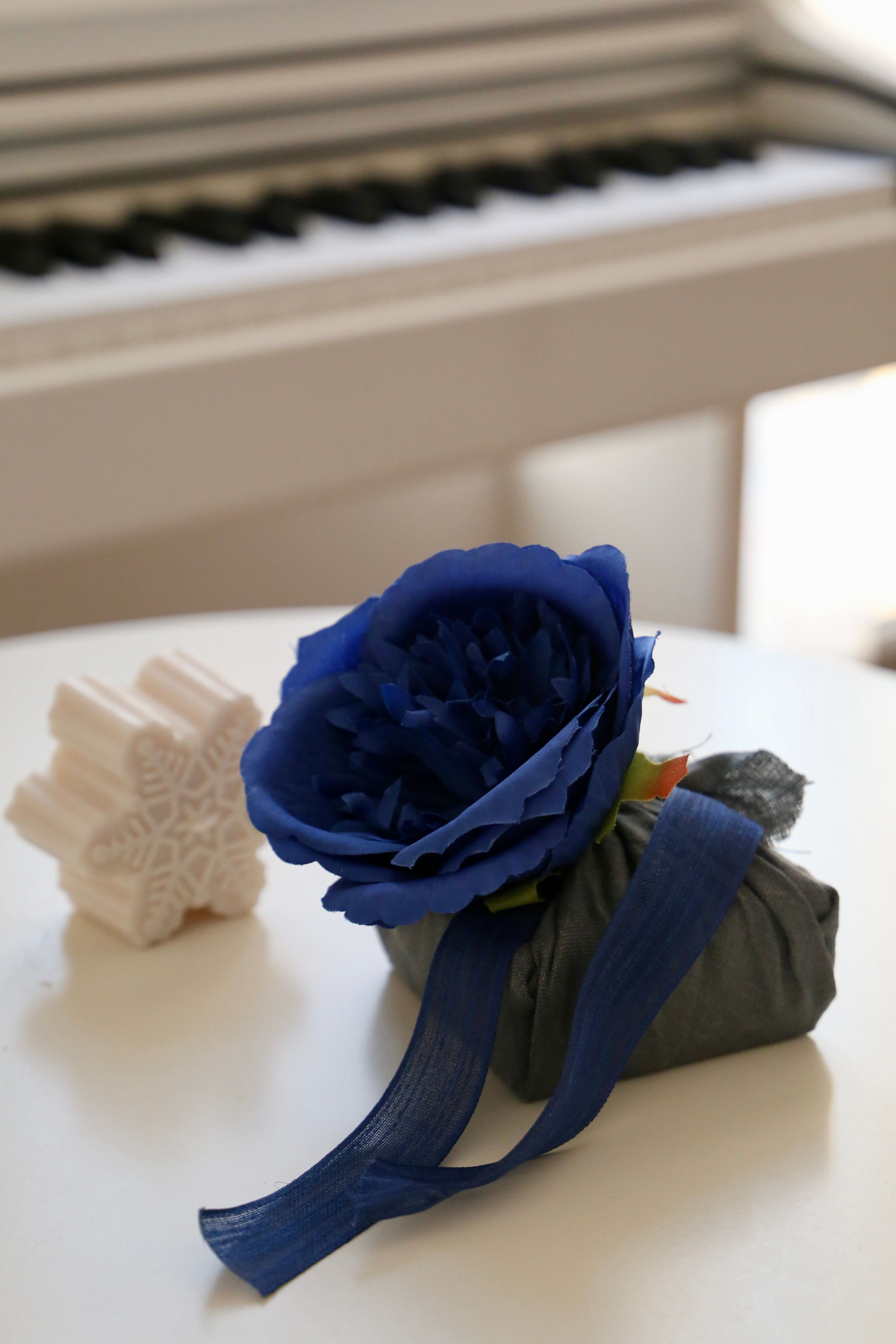 Blue Garden Gift