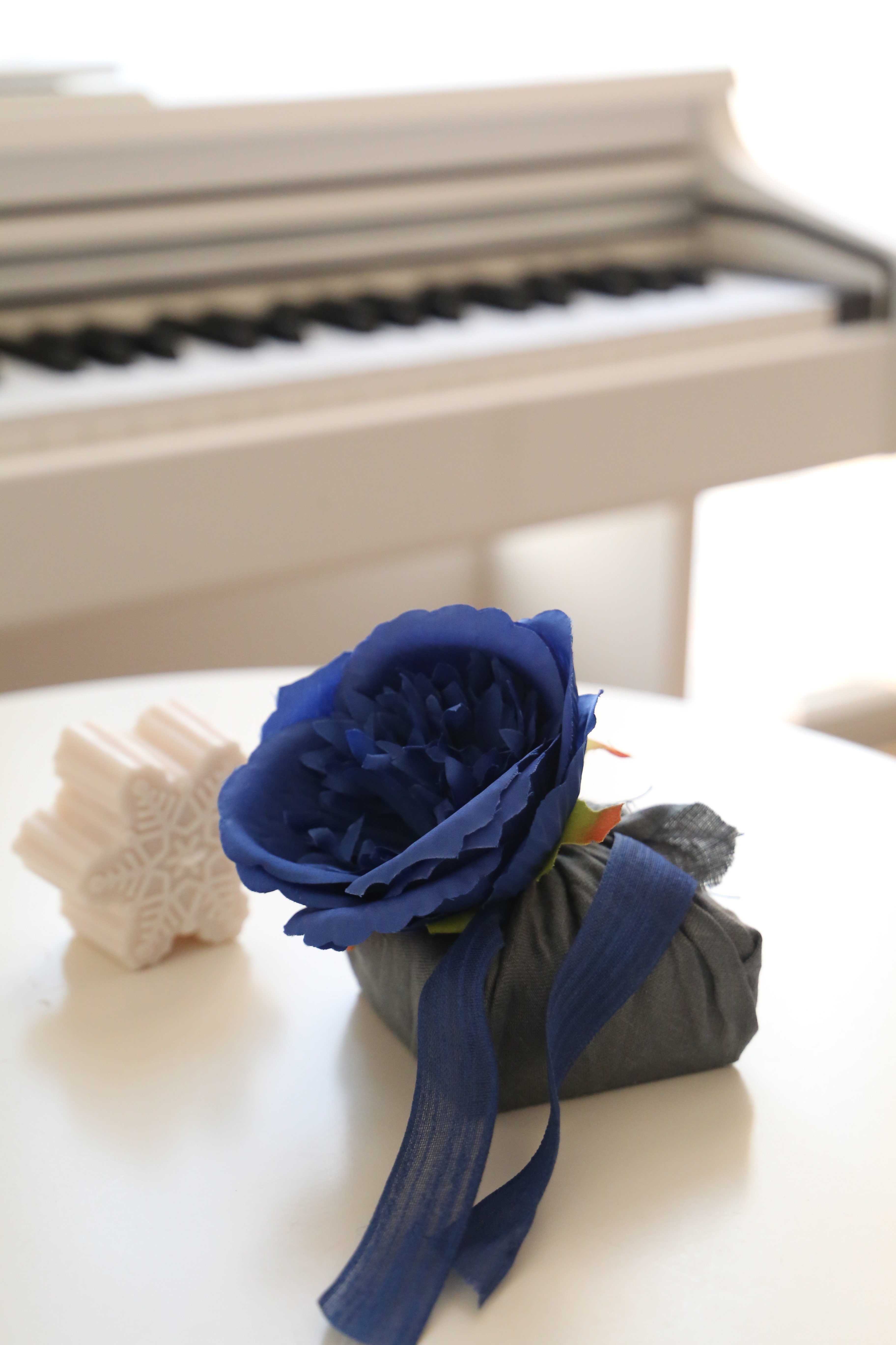 Blue Garden Gift