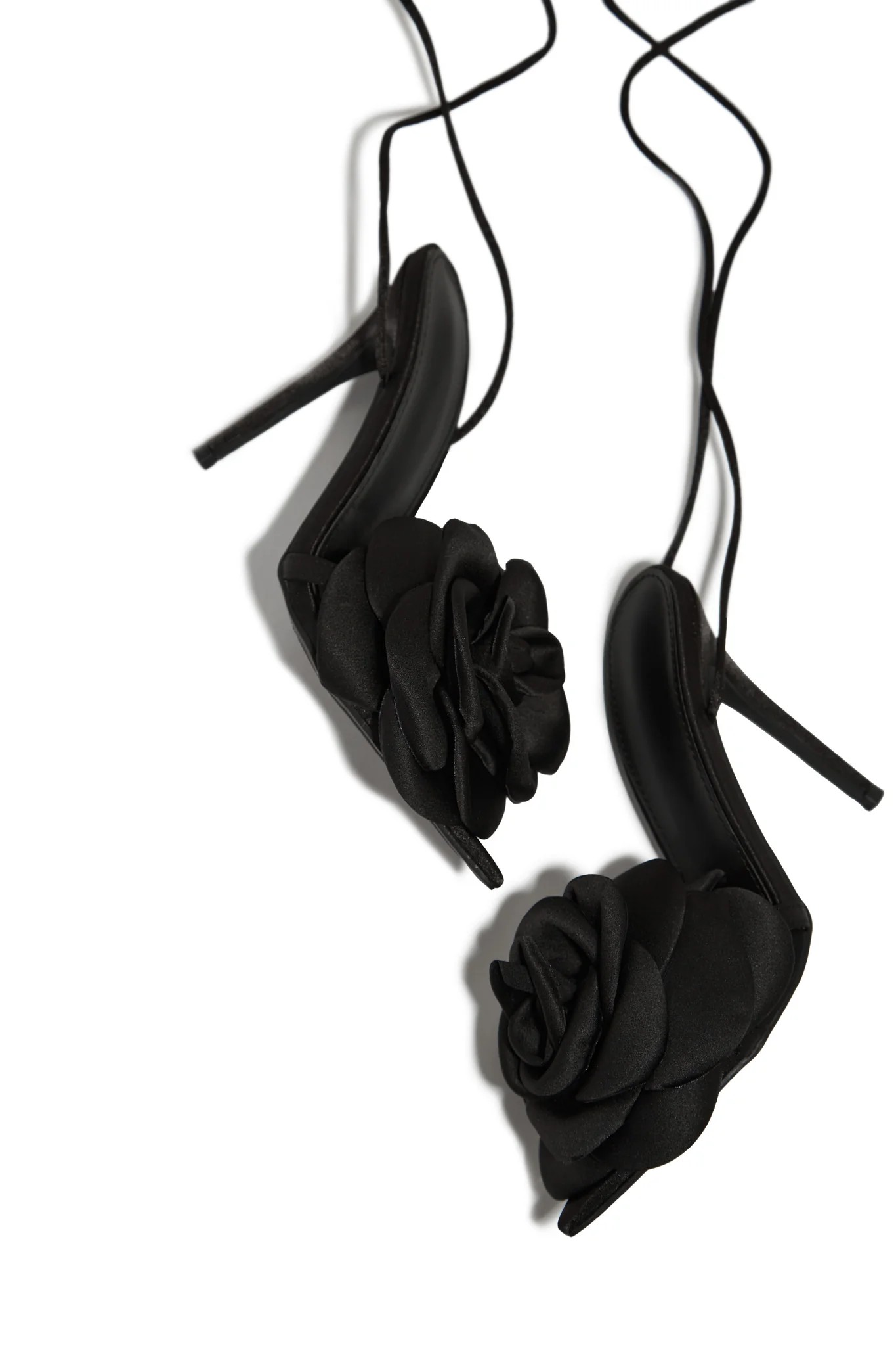 Rosae Black