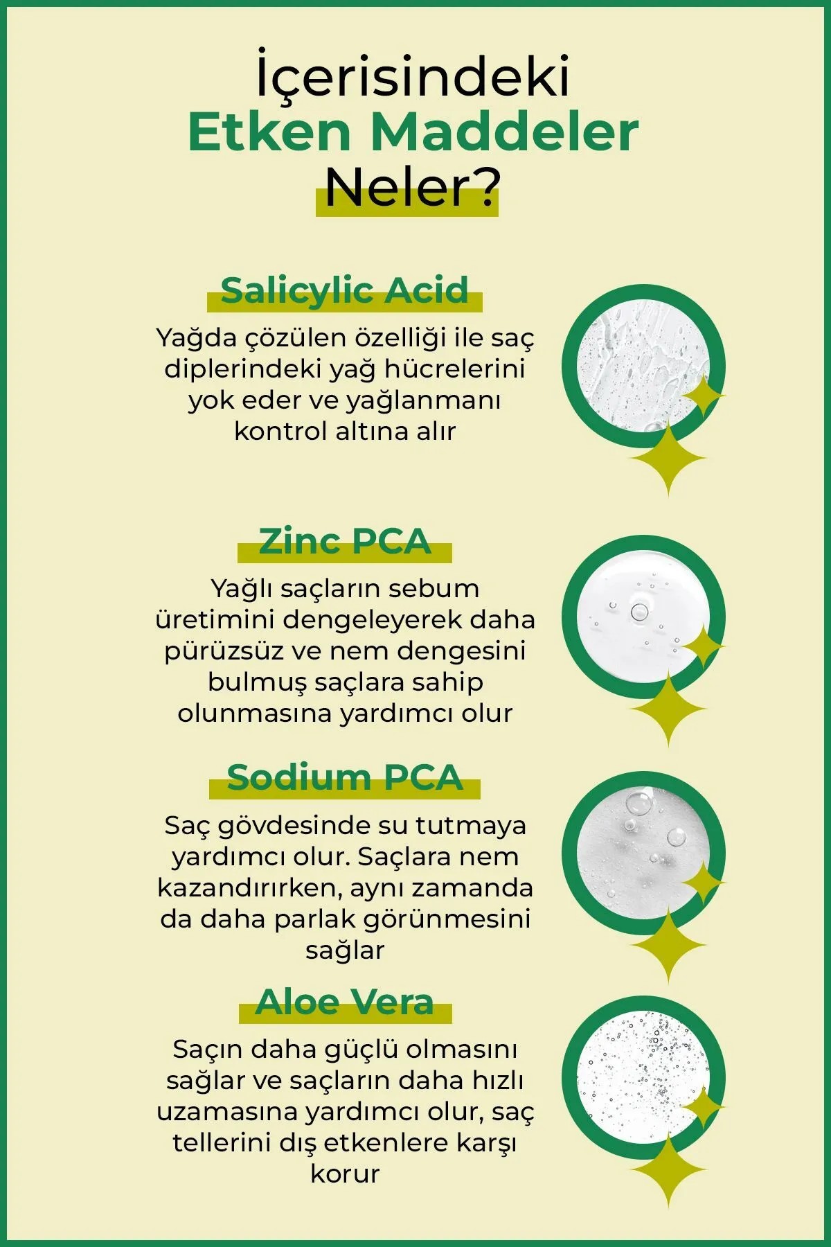 Yağlı Saç Derisi ve Yağlı Saçlara Özel Yağlanma Karşıtı Saç Bakım Seti