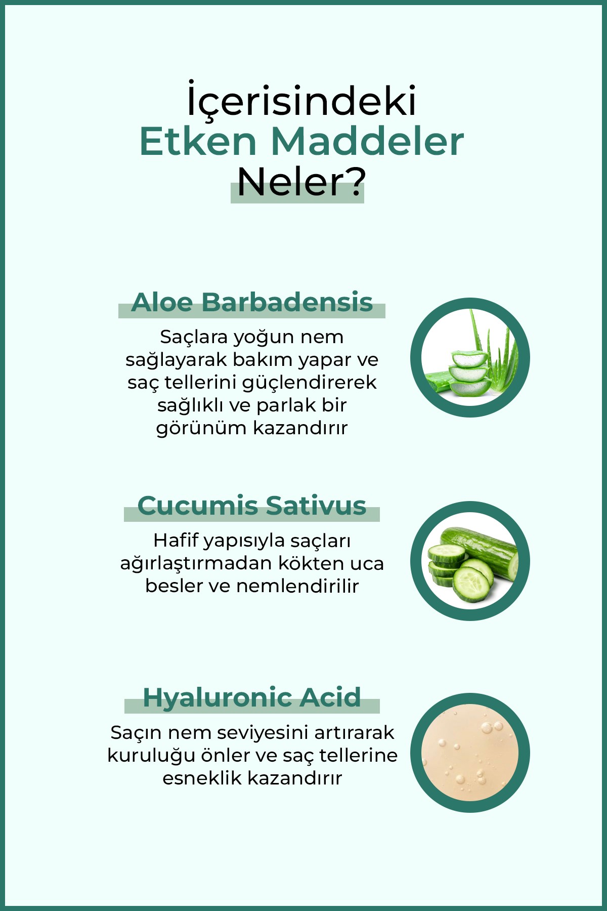 Aloe Vera & Salatalık Saç Toniği