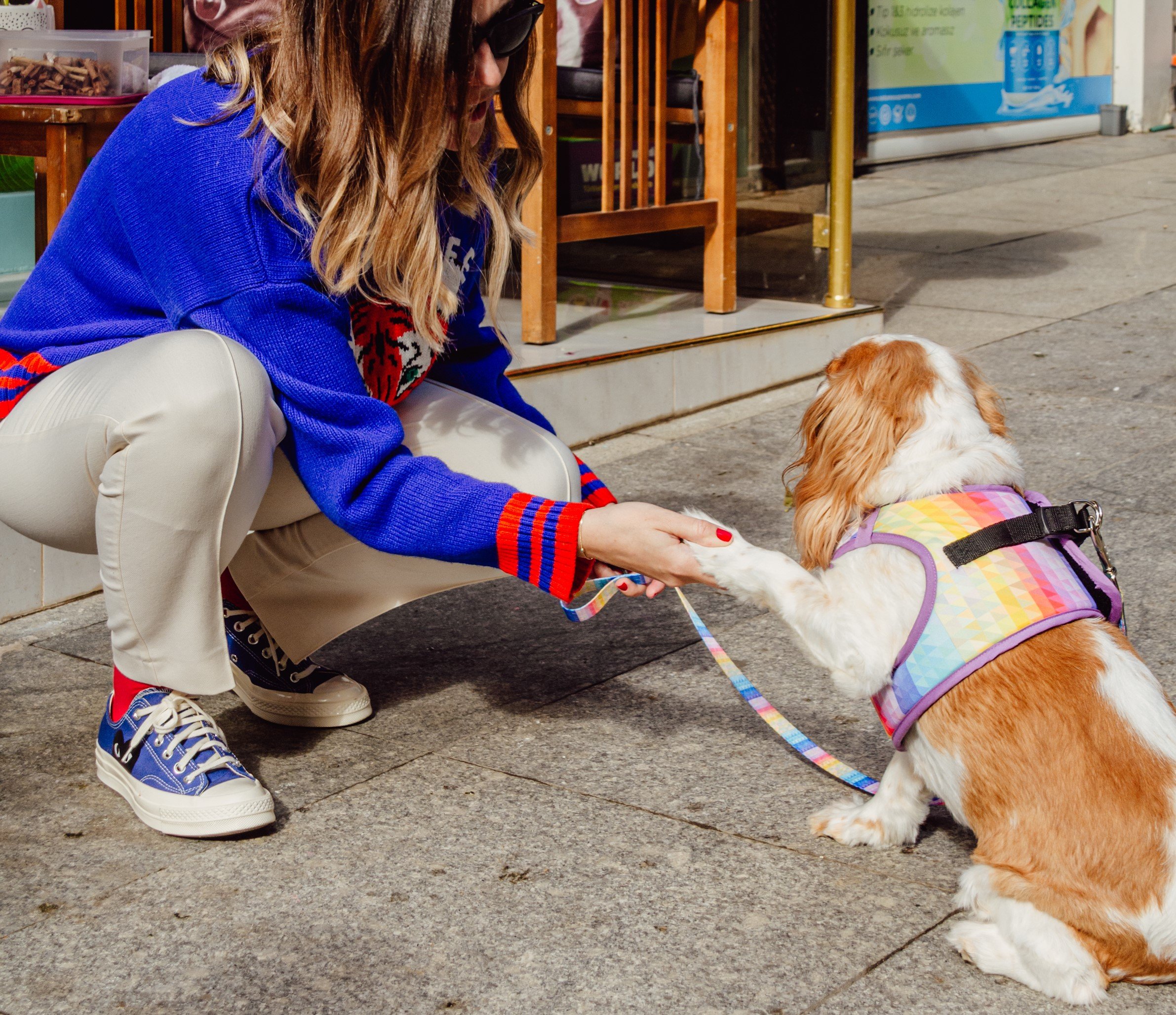 Rainbow Sky Gezdirme Tasması / Rainbow Sky Leash