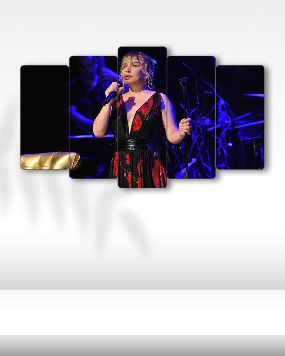 Sezen Aksu, Sahne Performansı (Kırmızı Elbise) - 5 Parçalı Tablo