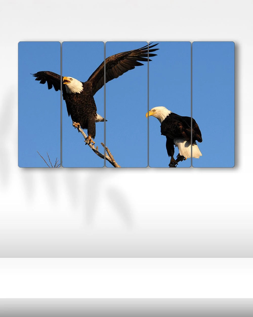 Kel Kartallar, Ağaç Dalında Kartal, Kuş - 5 Parçalı Tablo