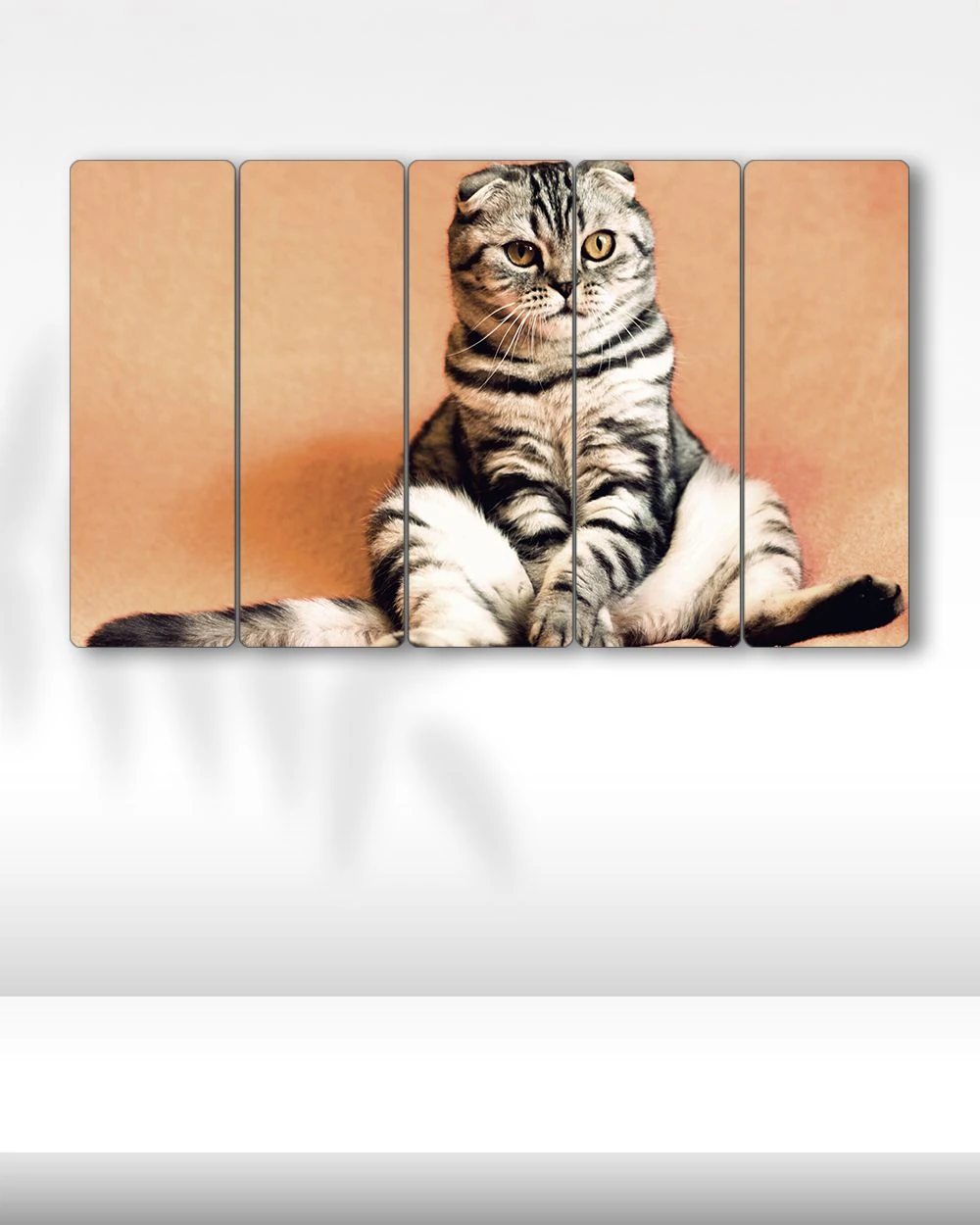 Oturan Scottish Kedi - 5 Parçalı Tablo