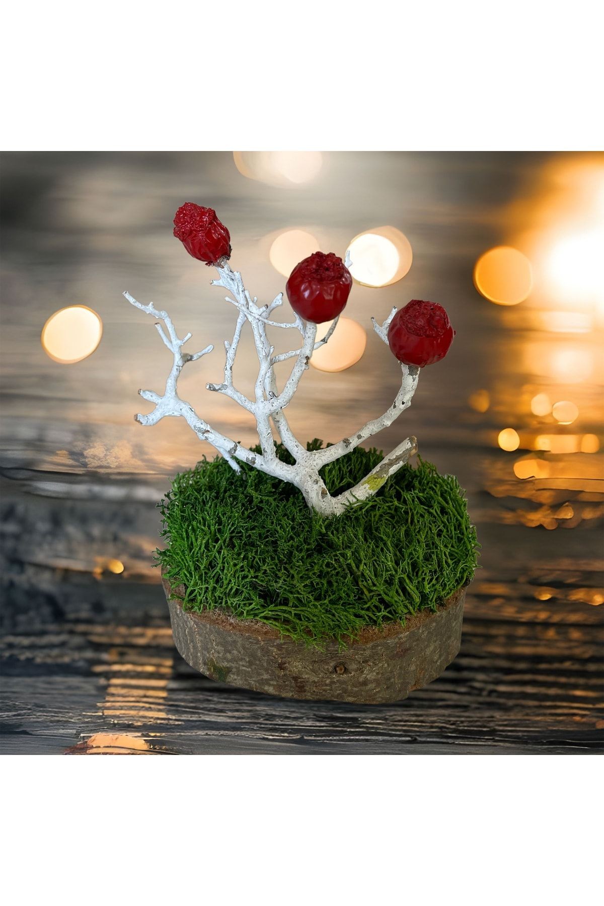 Miniature Natural Freezing Gift Wish Tree Natural Norwegian Moss Oak Tree